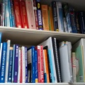Library Shelves on Wall (Repisas de Biblioteca en la Pared)