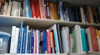 Library Shelves on Wall - Repisas de Biblioteca en la Pared